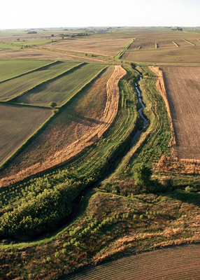 Buffer strips near a stream, bordered by farmland