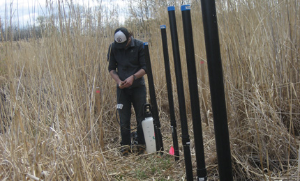 Injecting dye in to a test well to trace water movement