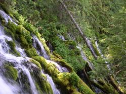 McKenzie River