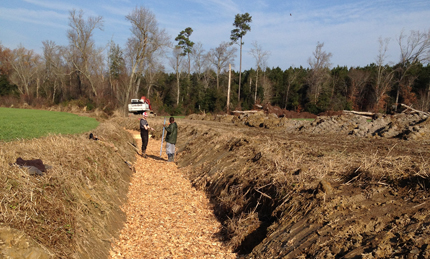 Woodchips in a Chesapeake Bay watershed bioreactor