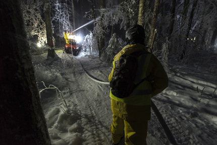 Applying water to freeze on trees in ice experiment to measure forest impact