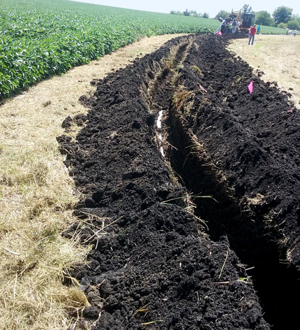 A dark line of dug-up soil cuts across the middle of a picture. It is edged by tan dried grasses from last year and, beyond that, short soy plants in a field. 