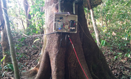 Automated data loggers in tropical wet-dry forest, Costa Rica