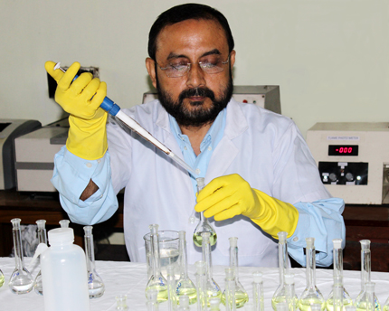 A researcher with yellow protective gloves is holding a flask and using a pipette to fill it. There are an assortment of  Erlenmeyer flasks in front of him with yellow liquid in them.