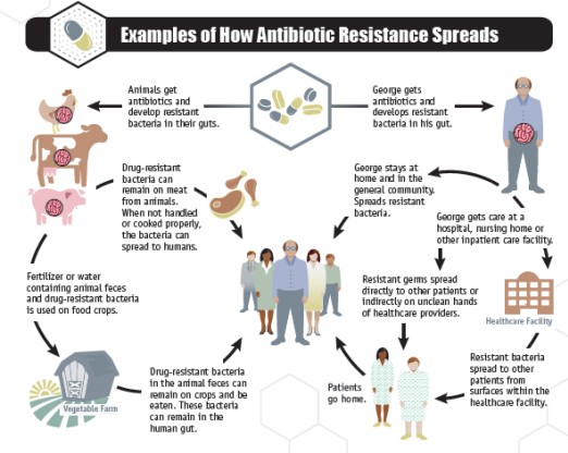 How antibiotic resistance spreads