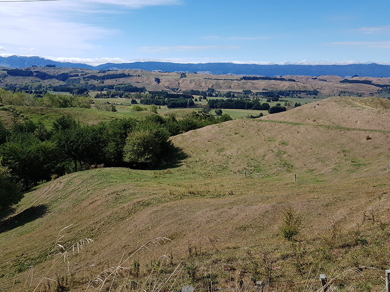 New Zealand hill country landscape 