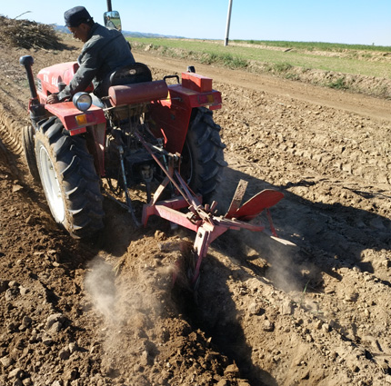 A tractor pulls a plow through a field. The farmer operating it is looking behind to see the row.