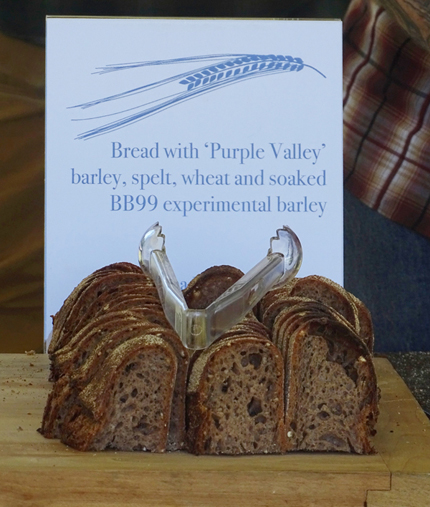 A sign in behind a loaf of barley bread reads, "Bread with 'Purple Valley' barley, spelt, wheat and soaked BB99 experimental barley."