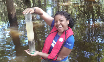 Soil sample from natural hardwood forest wetland