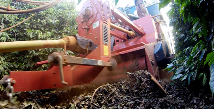 An orange machine collects coffee berries from the soil. On each side of it are green, low-growing coffee bushes.