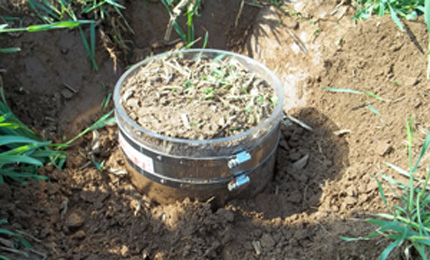 Soil core sample