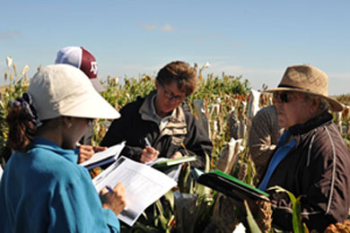 Mentoring young scientists on sorghum germplasm