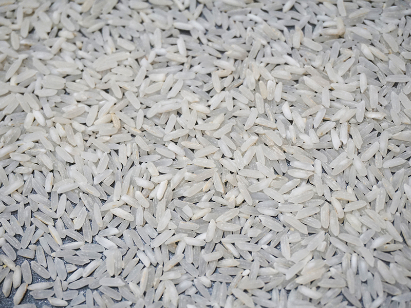 grains of rice