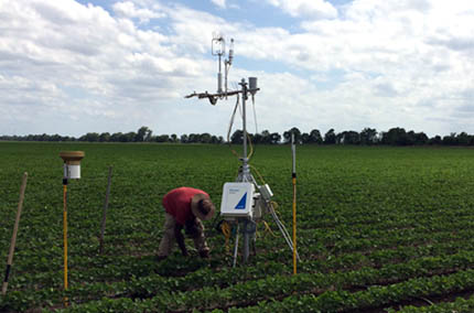 Eddy covariance tower in soybean field, Mississippi Delta