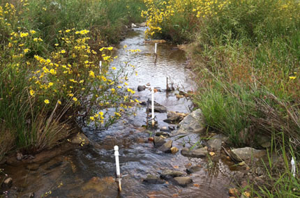 Measuring nitrogen removal in restored stream, buffer zone 