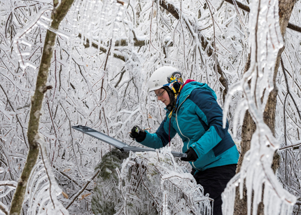 Researcher measuring tree ice accumulation in forest