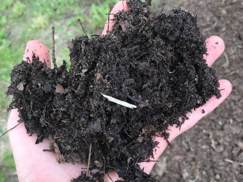 leaf mold compost near me