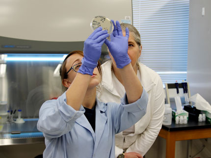 lab researchers looking at petri dish