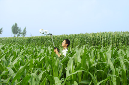 A researcher in a field of corn as tall as his shoulders uses a small white device attached to a metal stick. He is holding it above his head and is looking up at it.