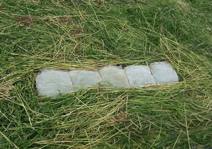 Litter bags filled with cover crop residue