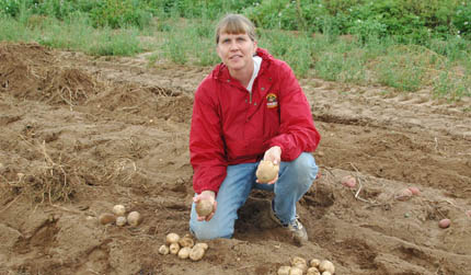 Jansky with potatoes in research field