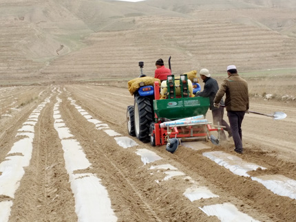 A team of workers follow a tractor to plant potatoes in a large, tilled field. In the distance are terraced hillsides.