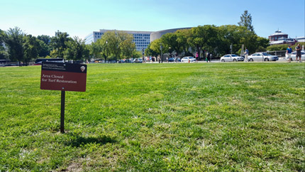 US National Mall before turf renovation