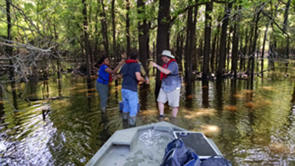 Mississippi River tributary soil sample collection