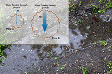 comparison of soil pore sizes and water flow volume