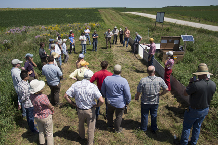 A group of growers gathers around the edges of a field in an informal semi-circle. Behind them is a colorful prairie strip and a field of corn.