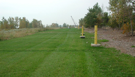 Steelworkers Park Chicago reseaarch turf and tree plots