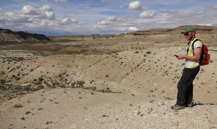 Using GPS coordinates for shrubby reed-mustard model, Big Pack Mountain