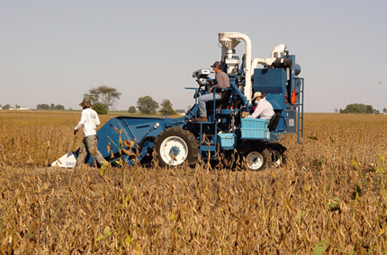 Harvesting soy