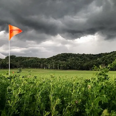 Weeds invading a golf course