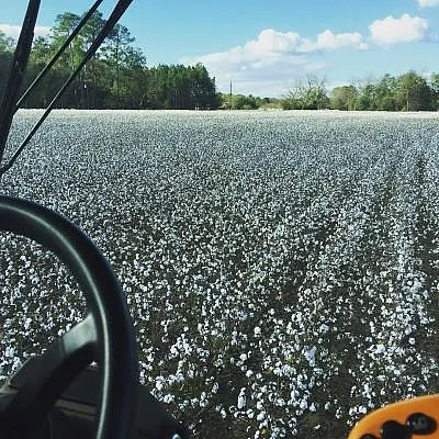 View of field from a tractor