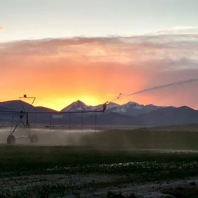 A field in front of the Rocky Mountains