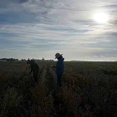 Selecting for soybean height